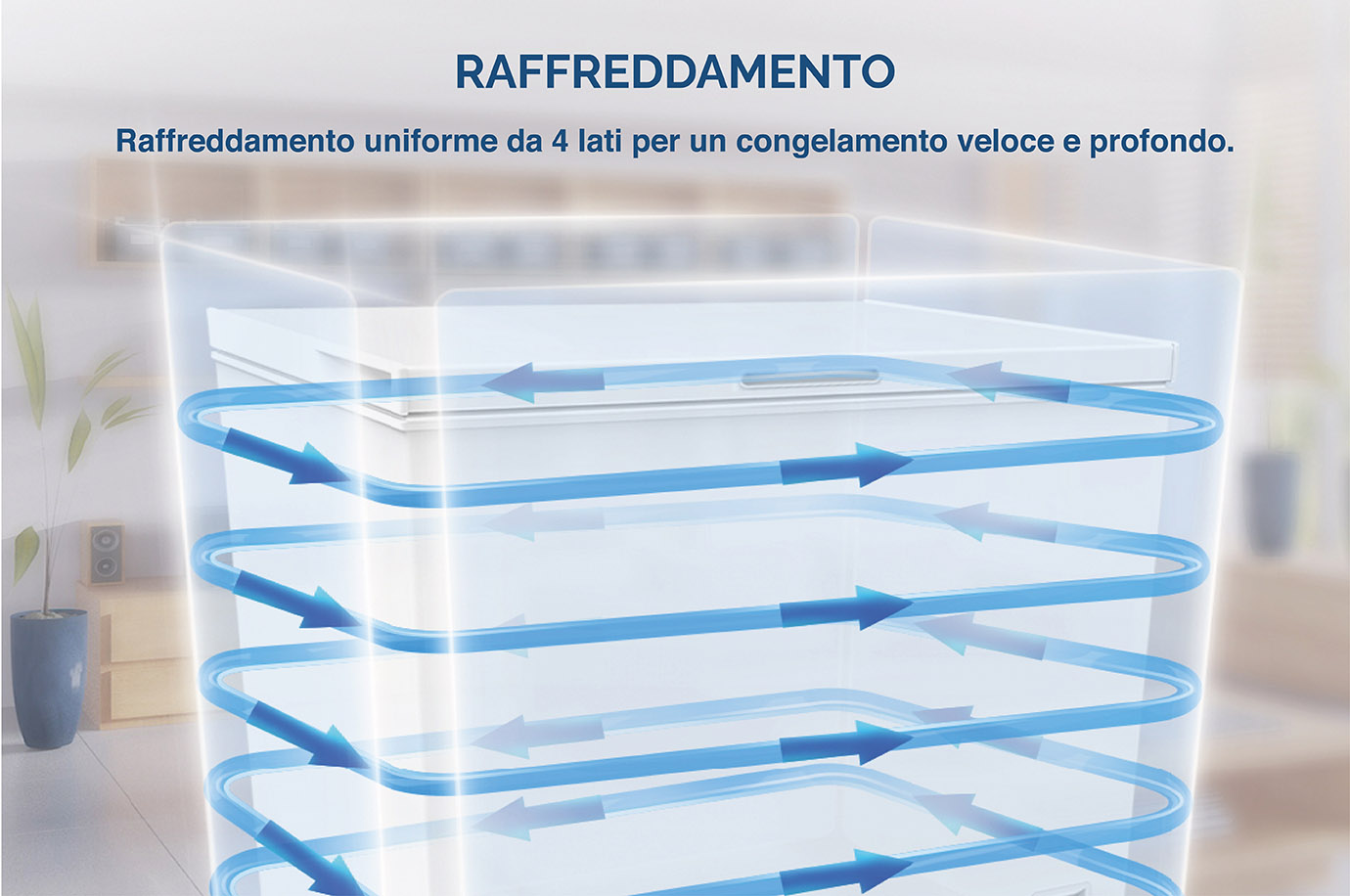 CONGELATORE ORIZZONTALE DOPPIA TEMPERATURA